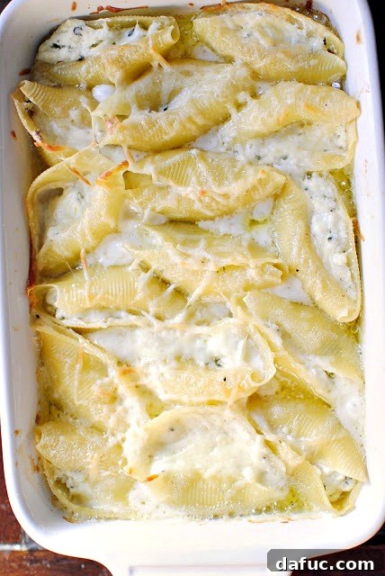 Champagne Cream Stuffed Shells with Zesty Lemon Basil Ricotta 2 Ricotta Stuffed Shells in a Champagne Cream Sauce on a baking dish