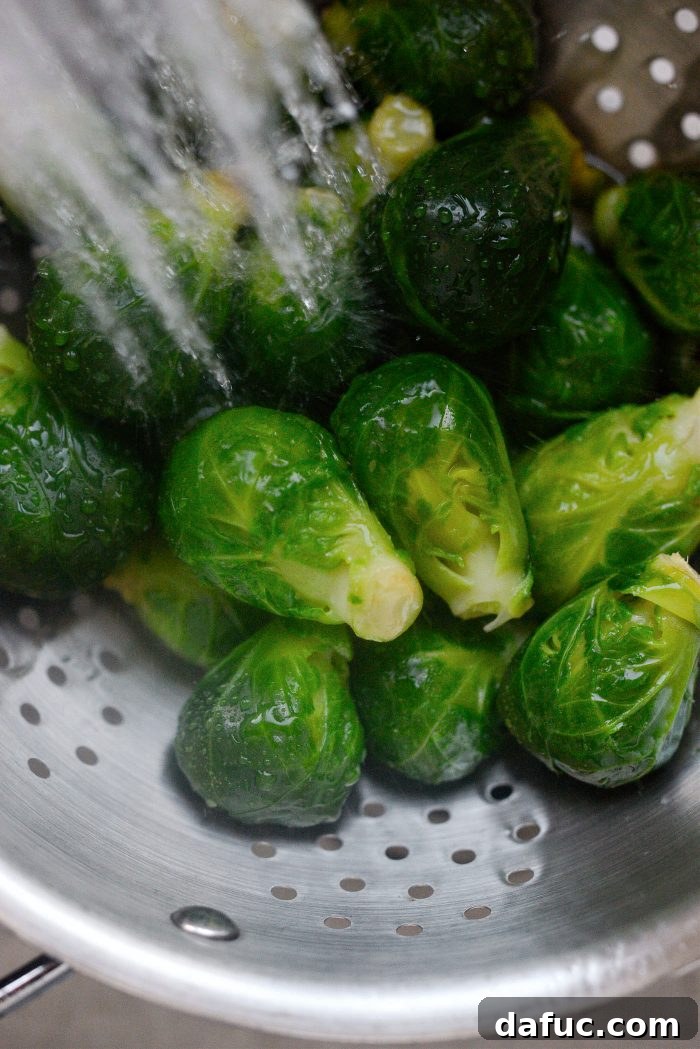 Creamy Cheesy Brussels Bake 7 Rinsing par-cooked Brussels sprouts with cold water to stop cooking