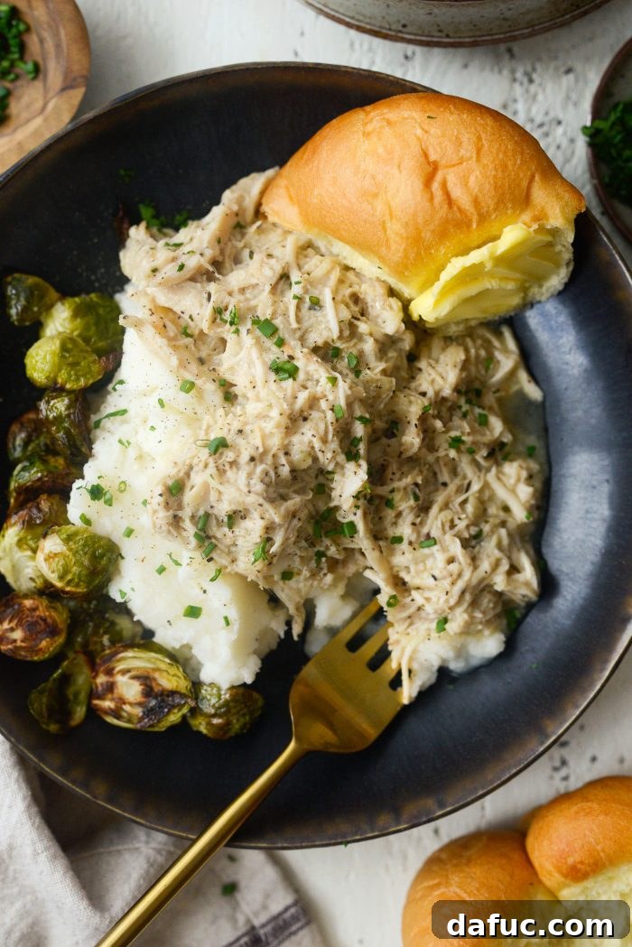 Hearty Turkey Skillet 20 Full plate of Turkey Slop