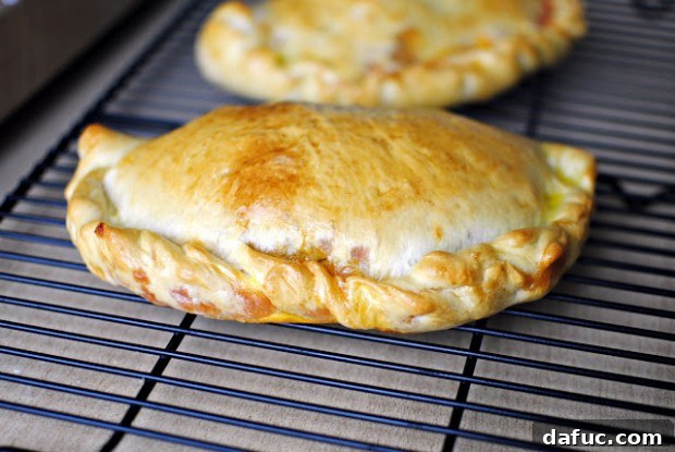 Stuffed Pizza Pockets 2 Perfectly risen homemade pizza dough for calzones.