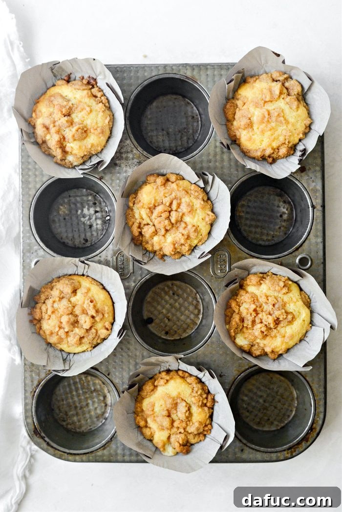 Baked Cream Cheese Streusel Muffins fresh from the oven