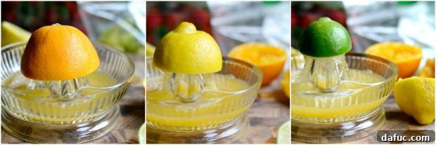 Prismatic Fruit Delight 6 Freshly cut citrus fruits for juicing
