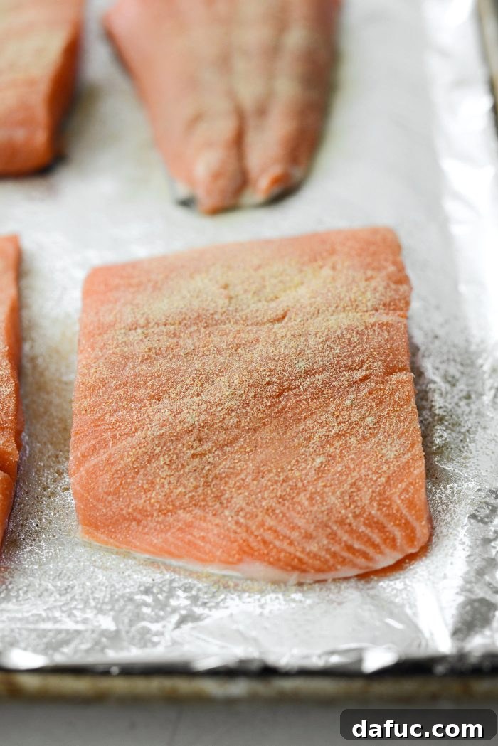 Season Salmon Fillets