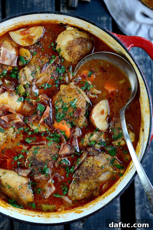 Slow-Simmered Chicken Stew 29 A bowl of braised chicken stew with a drumstick and thigh, garnished