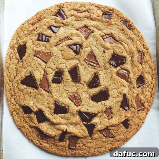 Roughly broken chocolate chunks pressed into the surface of the cookie dough