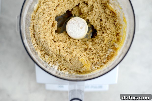 Kosher salt and baking soda added to the food processor