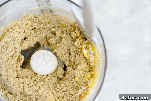 Ingredients pulsed together in the food processor, beginning to form a mixture