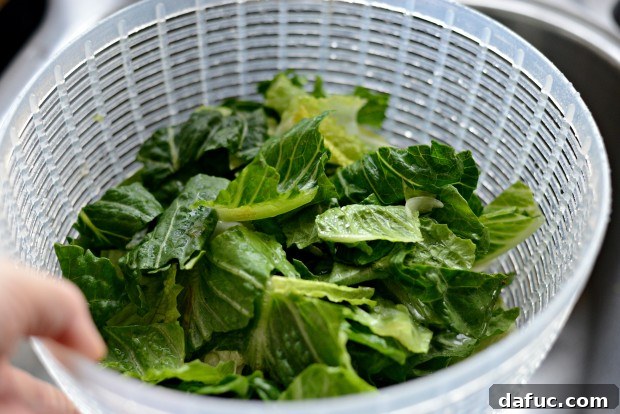 Washing and drying chopped romaine lettuce