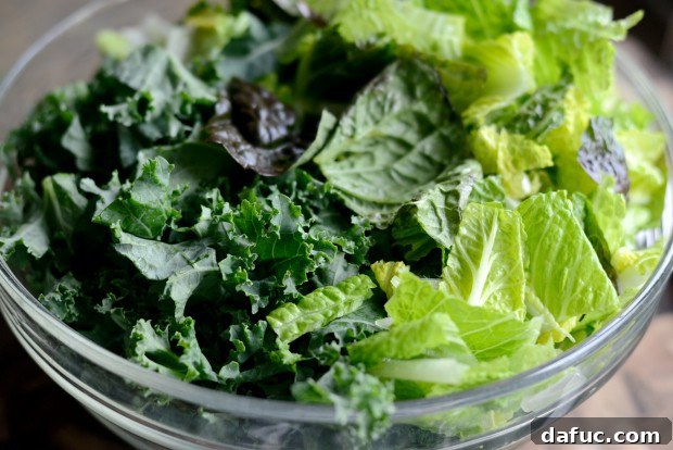 A Light Take on Kale Caesar Salad 21 Mixed kale and red leaf lettuce for salad