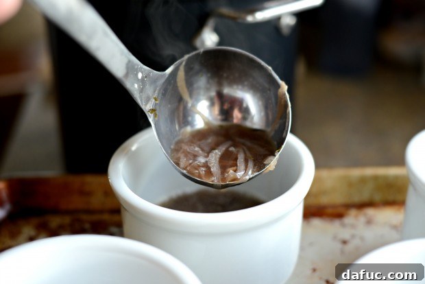 Ladle of French Onion Soup in a Bowl