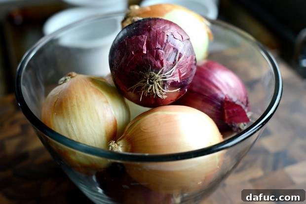 A Mix of Red and Yellow Onions for French Onion Soup