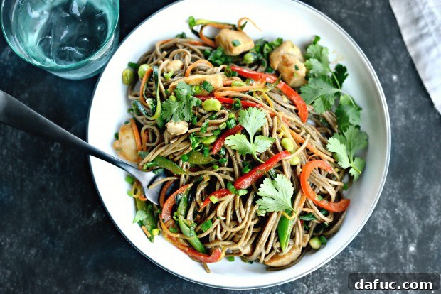 Vibrant Spring Chicken Soba Stir-Fry 2 Vibrant Chicken and Spring Vegetable Soba Noodle Stir-Fry with Miso Sauce