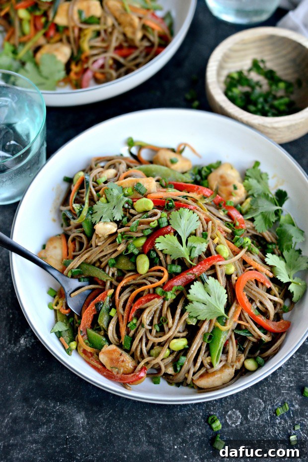 Vibrant Spring Chicken Soba Stir-Fry 3 Close-up of a colorful bowl of chicken and spring vegetable soba noodle stir-fry