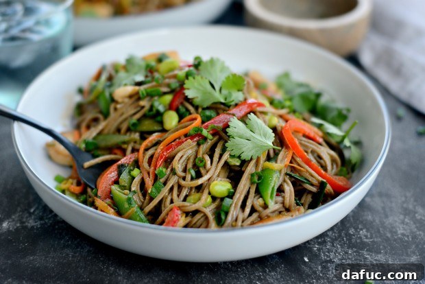 Vibrant Spring Chicken Soba Stir-Fry 21 Chicken and Spring Vegetable Soba Noodle Stir-Fry served in a bowl with cilantro garnish