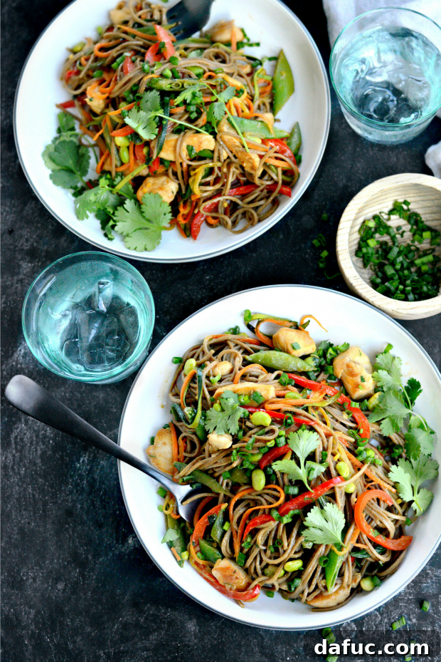Vibrant Spring Chicken Soba Stir-Fry 25 Final plated Chicken + Spring Vegetable Soba Noodle Stir-Fry with garnishes