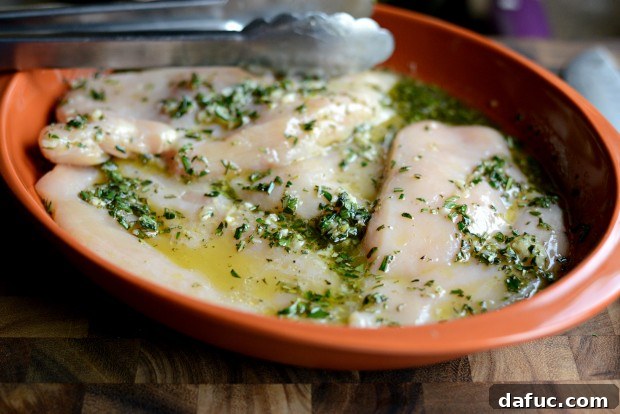 Zesty Grilled Greek Chicken 14 Chicken breasts marinating in the Greek herb and lemon mixture