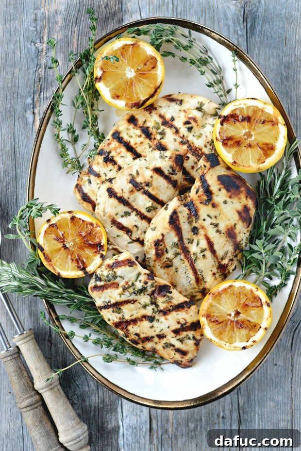 Zesty Grilled Greek Chicken 20 Beautifully plated Grilled Greek Chicken ready to be served