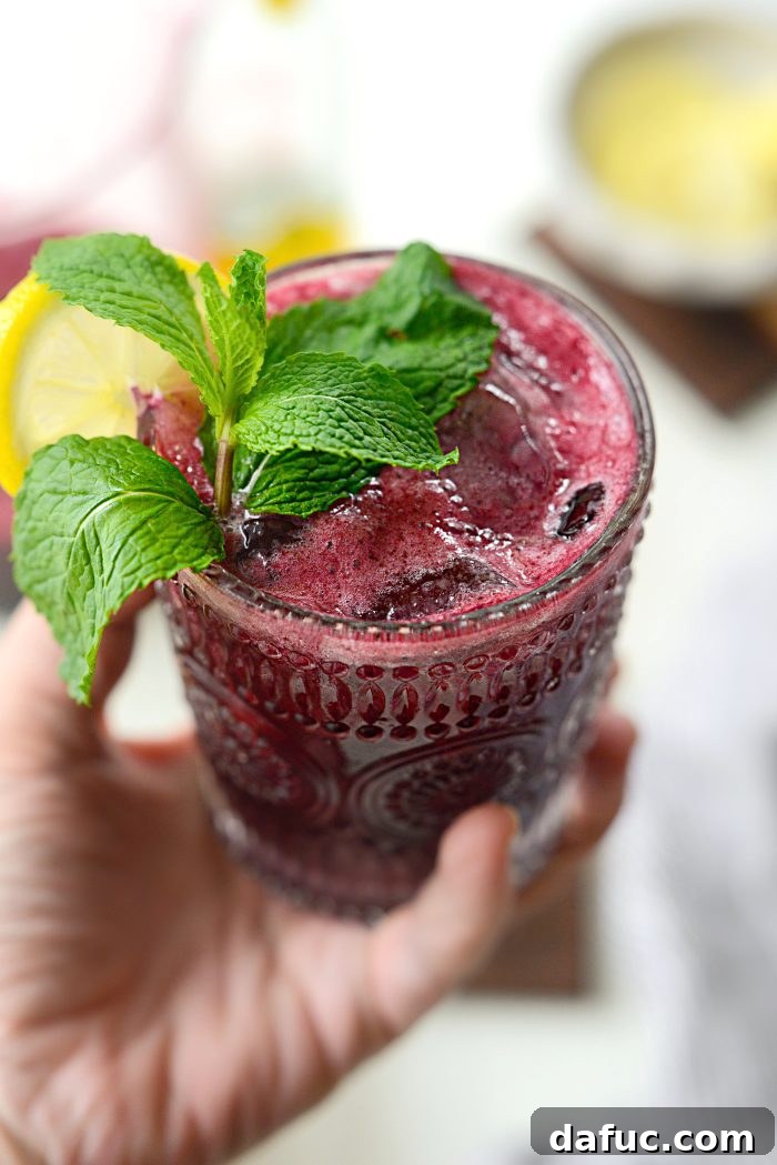 Refreshing Blueberry Lemon White Wine Spritzer with fresh blueberries and lemon slices