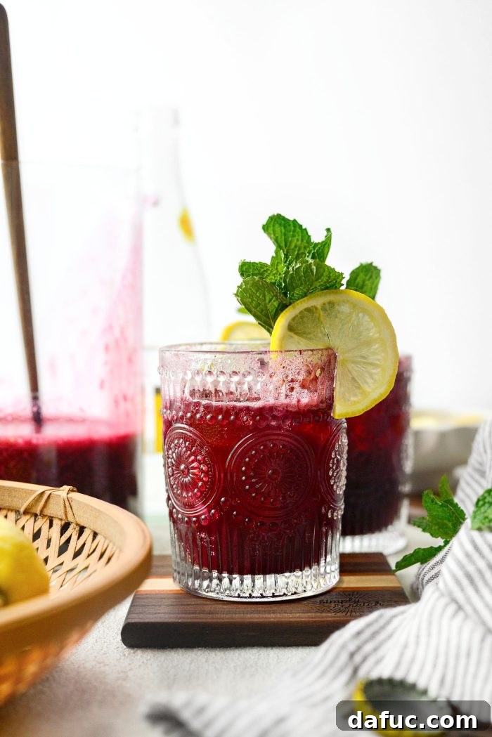 A person enjoying a glass of Blueberry Lemon White Wine Spritzer outdoors