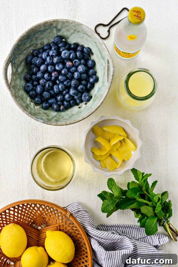 Key ingredients for Blueberry Lemon White Wine Spritzer: blueberries, lemons, white wine, and sparkling water