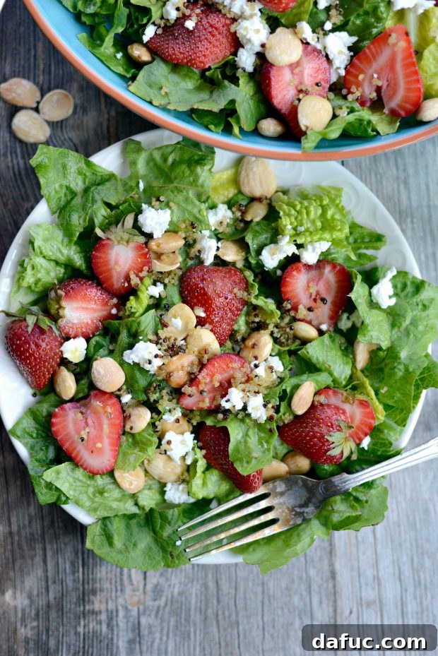 Sweet Strawberry and Creamy Goat Cheese Salad with Crispy Quinoa 20 Full plate of Strawberry Goat Cheese Salad with Crispy Fried Quinoa