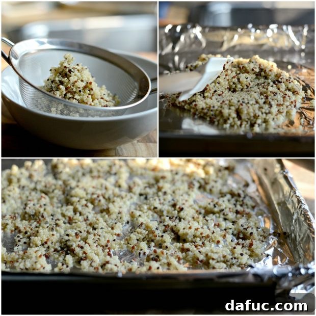 Sweet Strawberry and Creamy Goat Cheese Salad with Crispy Quinoa 4 Cooked quinoa cooling on a pan