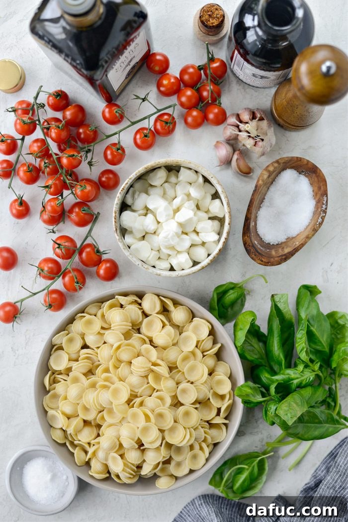 Garden Fresh Caprese Pasta 4 Ingredients for Caprese Pasta Salad laid out