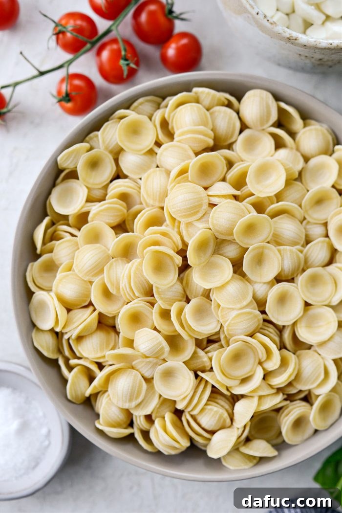 Garden Fresh Caprese Pasta 8 A bowl of cooked orecchiette pasta