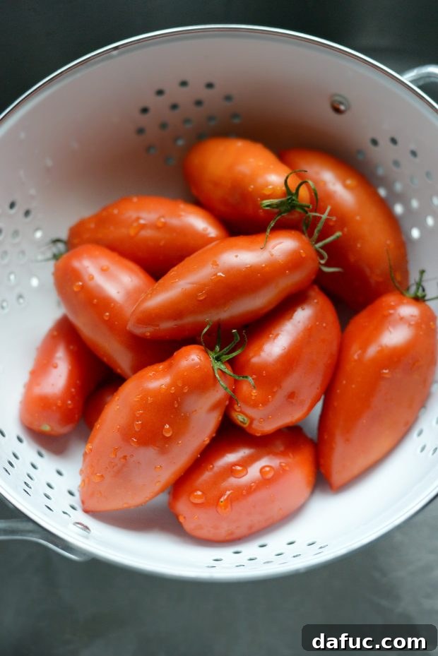 Aromatic Roasted Tomato Curry Soup Garnished with Fresh Mint