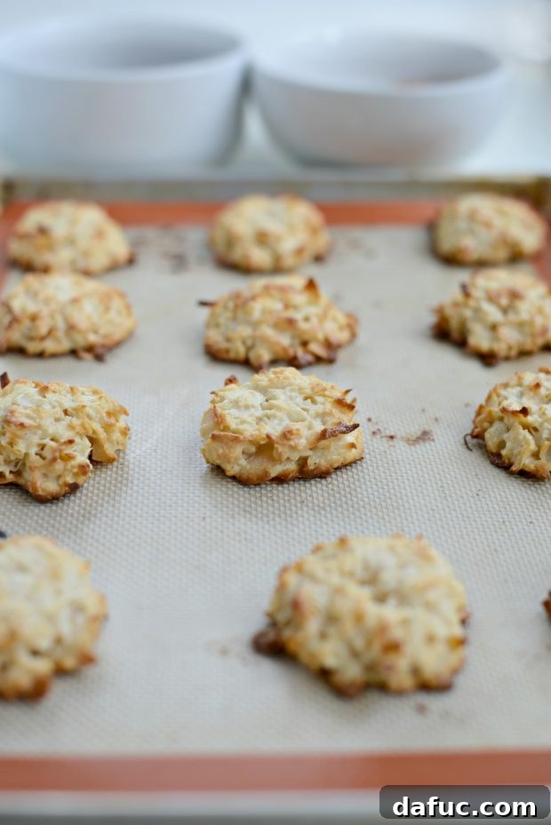 Blissful Almond Macarons 8 baked coconut cookies fresh from the oven