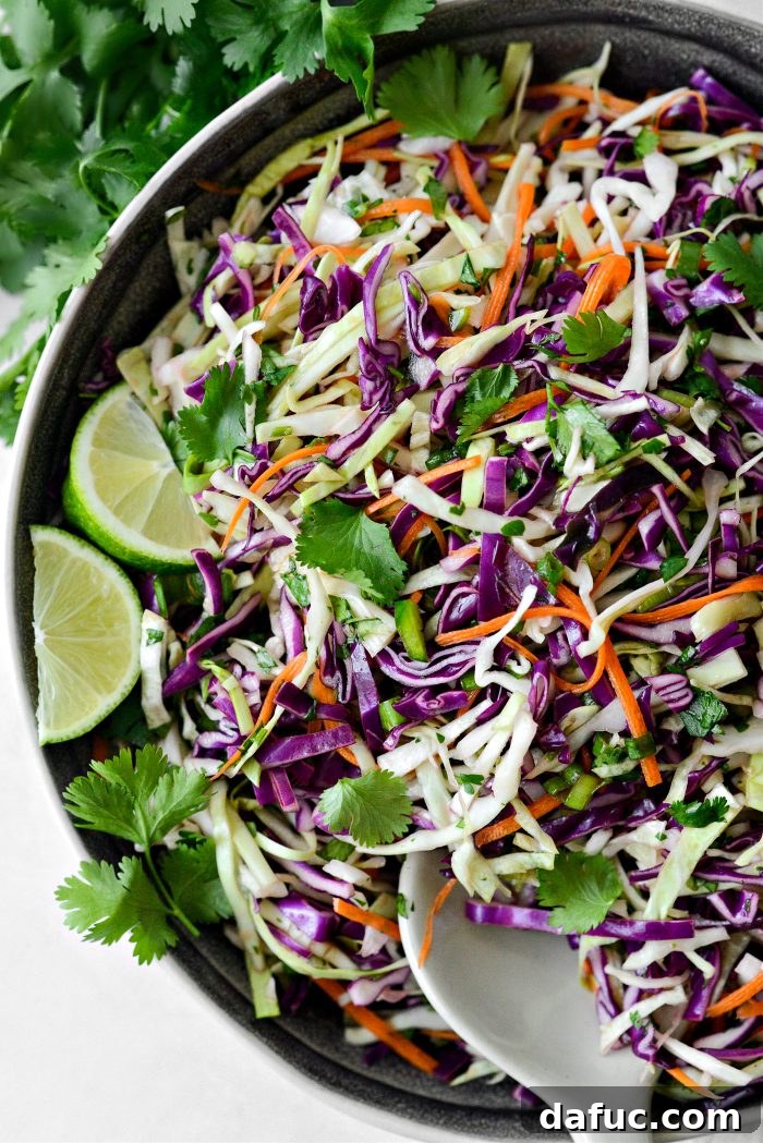 Refreshing Cilantro Lime Coleslaw 2 Cilantro Lime Coleslaw