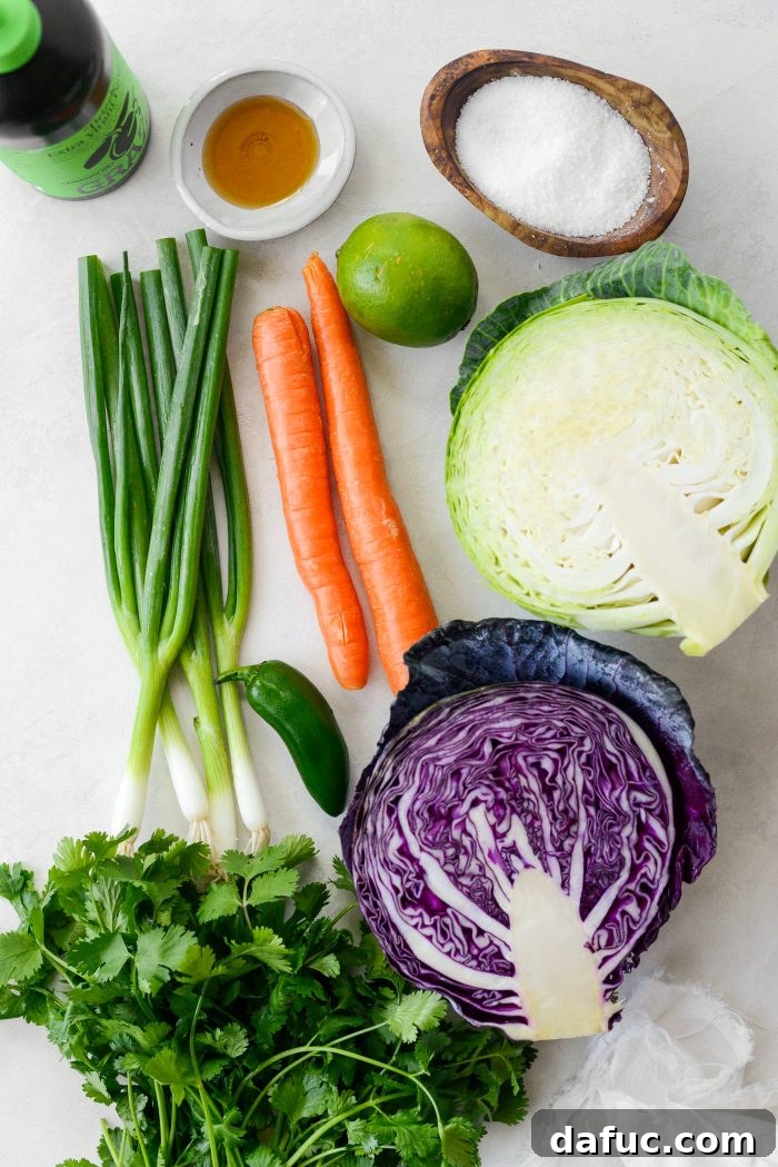 Refreshing Cilantro Lime Coleslaw 4 Cilantro Lime Coleslaw ingredients