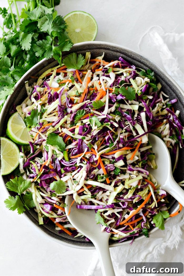 Refreshing Cilantro Lime Coleslaw 8 Cilantro Lime Coleslaw