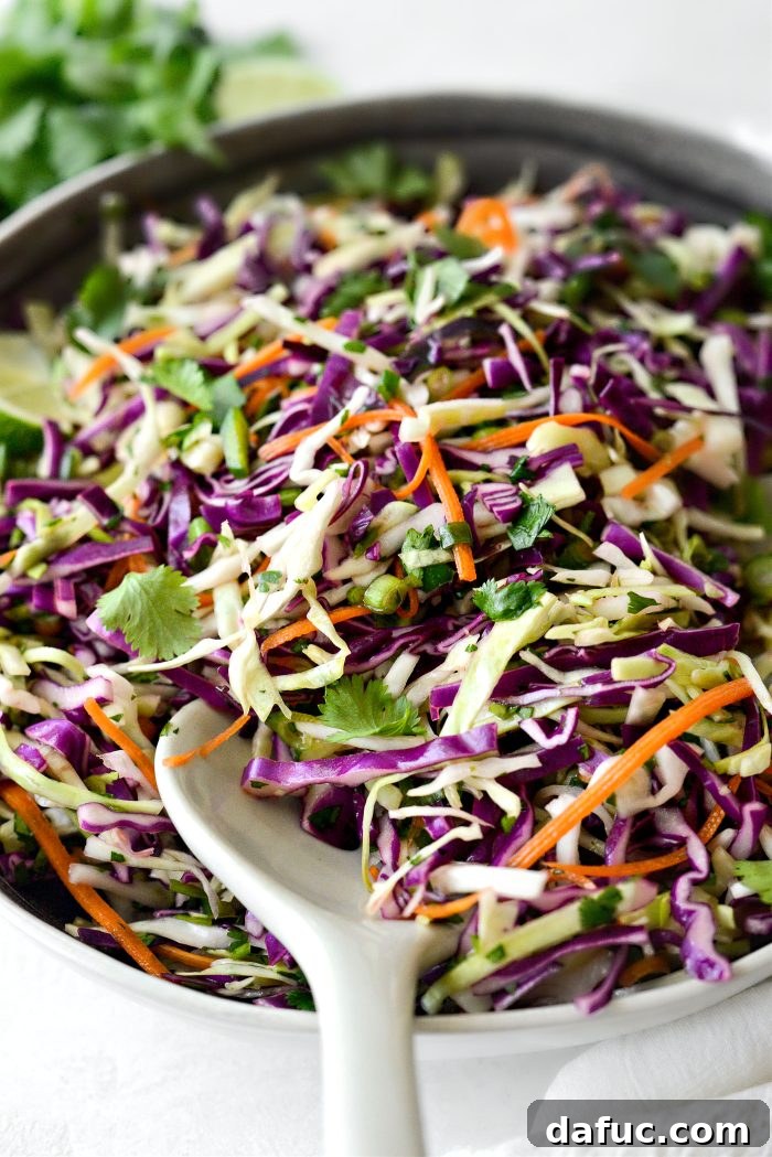 Refreshing Cilantro Lime Coleslaw 9 Cilantro Lime Coleslaw
