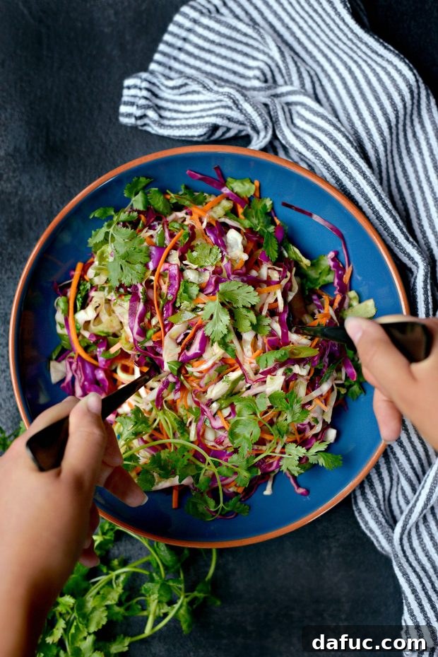 Korean Braised Pork Tacos 6 Fresh Cilantro Slaw with Lime Vinaigrette – a perfect, vibrant topping for Korean Pork Tacos.