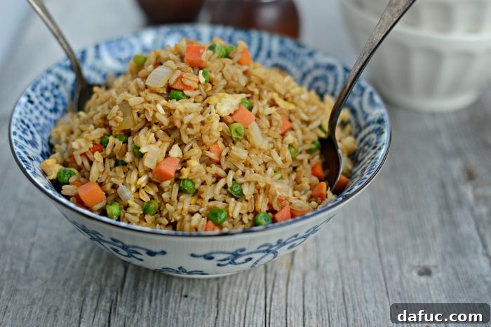 Delicious Vegetable Fried Brown Rice with Egg