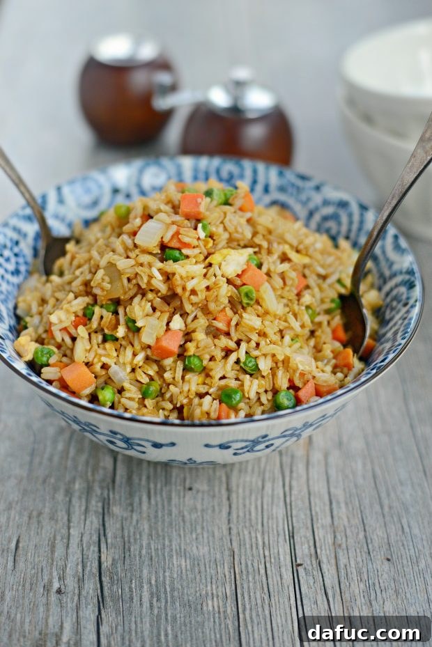Another beautiful shot of Vegetable Fried Brown Rice