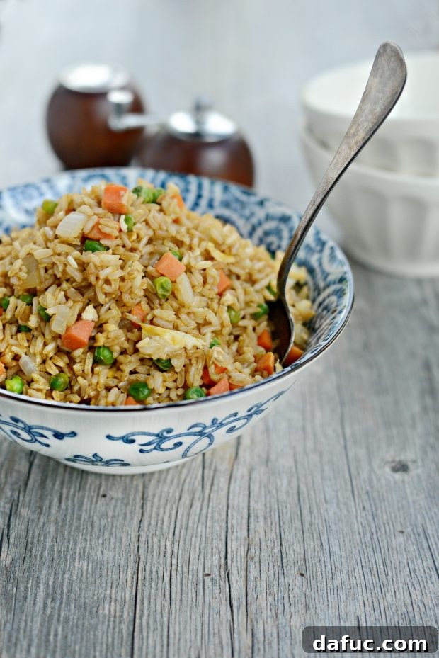 A close-up of Vegetable Fried Brown Rice