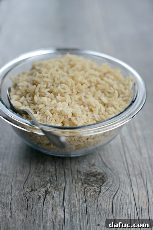 Cooked Brown Rice Ready for Frying