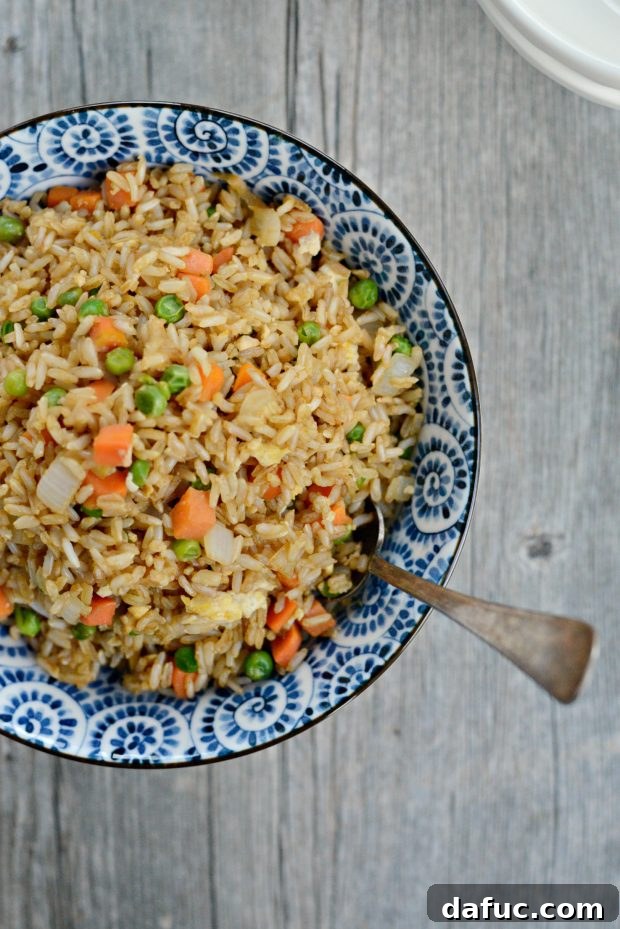 Close-up of Vegetable Fried Brown Rice in a bowl