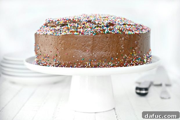 Decadent Homemade Chocolate Cake with Generous Chocolate Frosting and Colorful Sprinkles