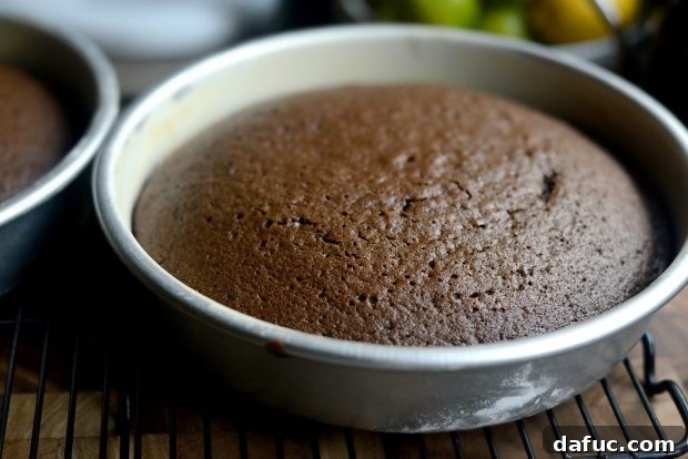 Freshly baked chocolate cake layers cooling in their pans