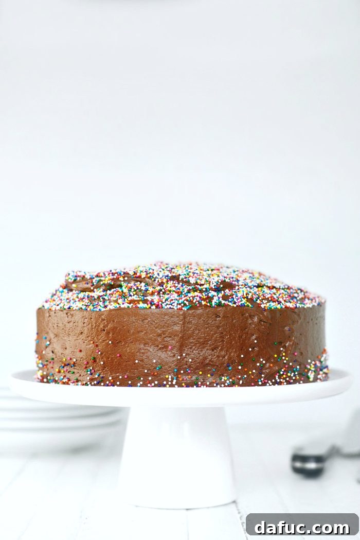 Close-up of a homemade chocolate cake with generous chocolate frosting and colorful sprinkles, ready for a party