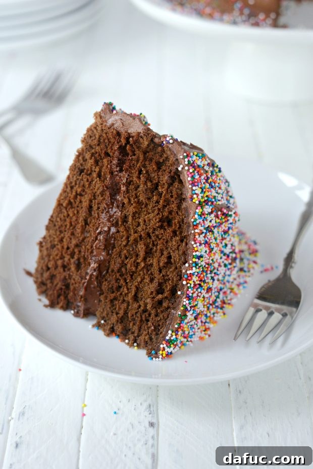 Slice of Homemade Chocolate Cake with Chocolate Frosting and Sprinkles, showing moist interior