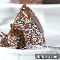 A beautifully frosted two-layer homemade chocolate cake ready to be served