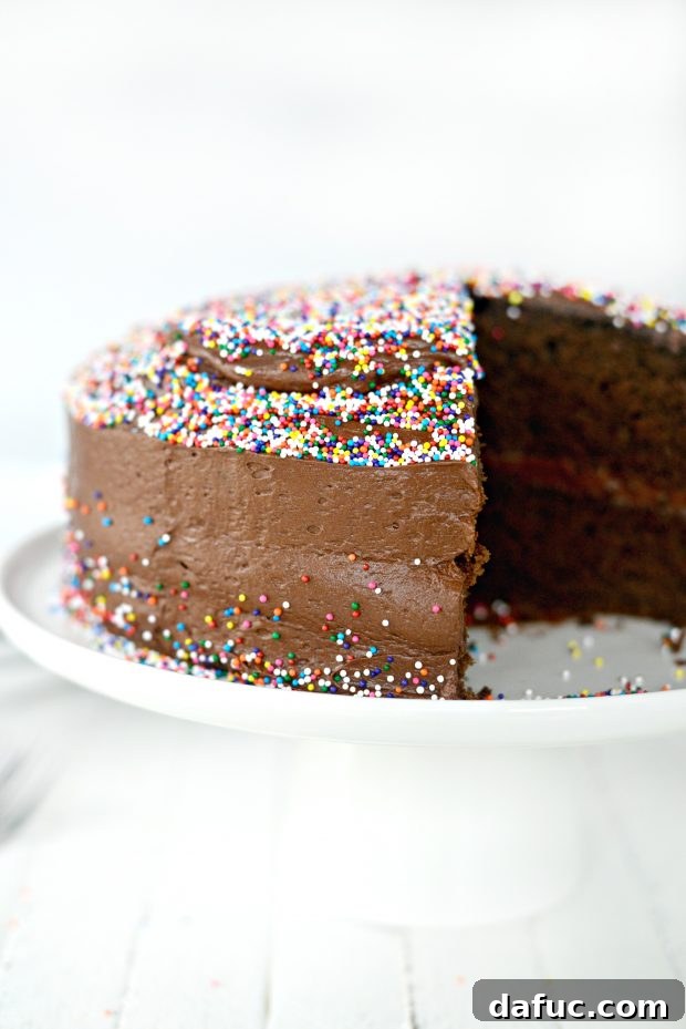 Two-layer Homemade Chocolate Cake with Decadent Chocolate Frosting Ready to Serve