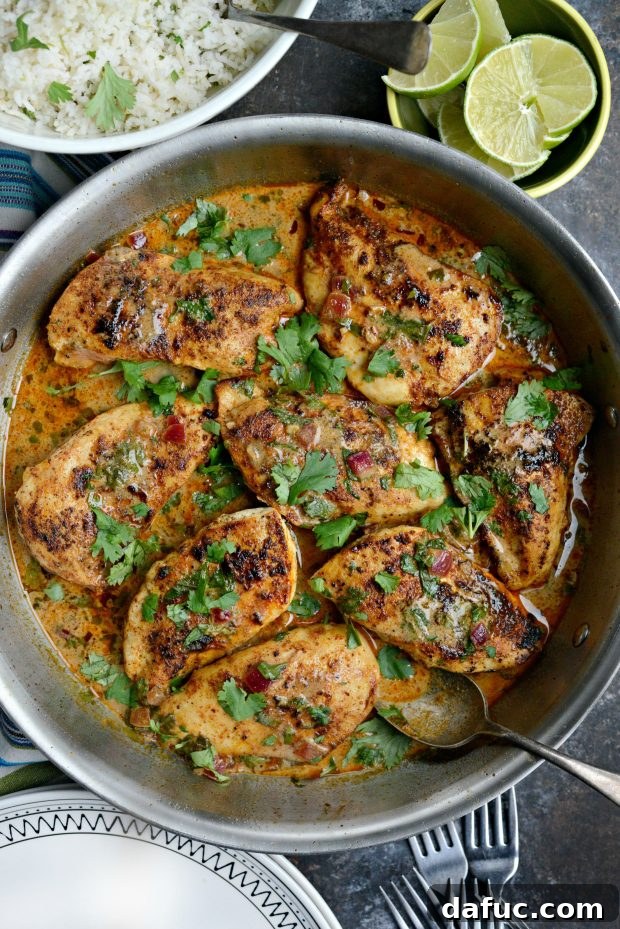 Easy One Skillet Creamy Cilantro Lime Chicken - A beautifully presented serving of the creamy chicken with rice and roasted vegetables.