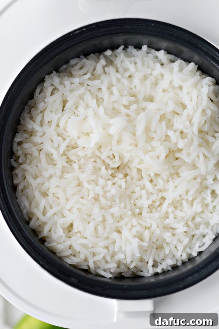 Fluffy cooked white rice in a rice cooker pot