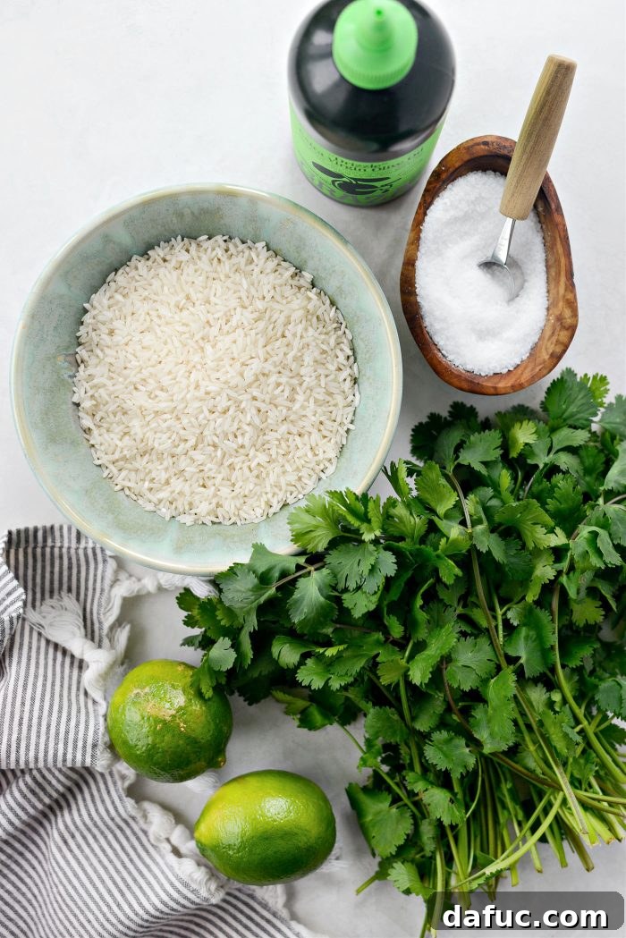 Ingredients for Cilantro Lime Rice laid out: rice, cilantro, limes, salt, olive oil