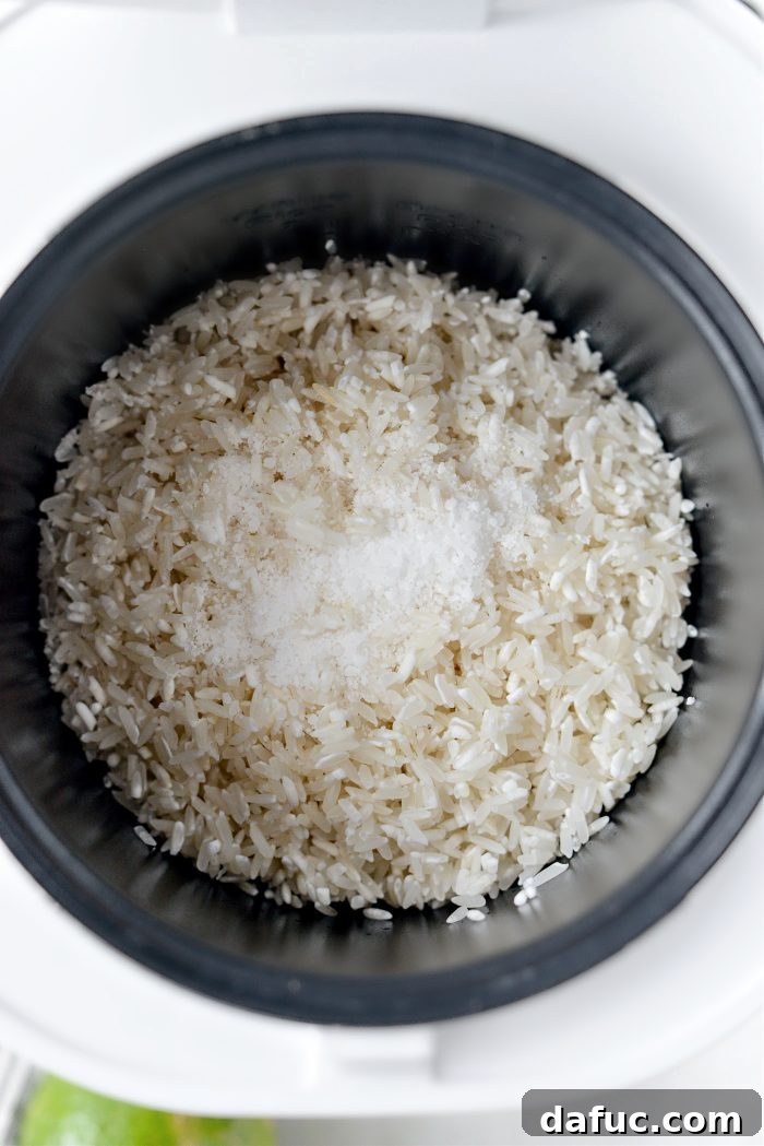 Adding rinsed rice and kosher salt to a rice cooker pot